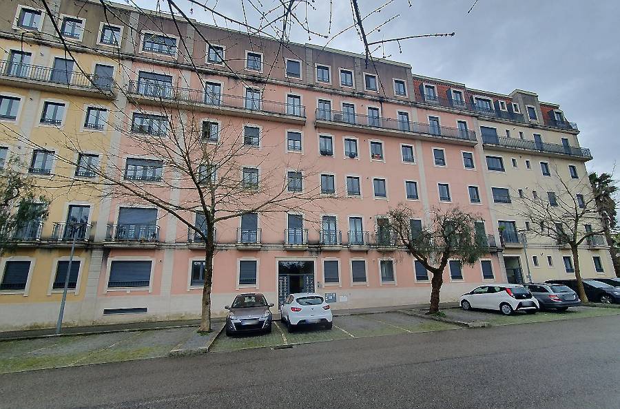 1_Oliveira do Douro (1).jpg