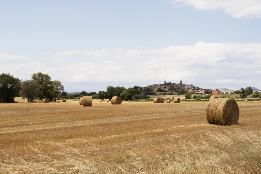 beautiful-landscape-with-hay.jpg