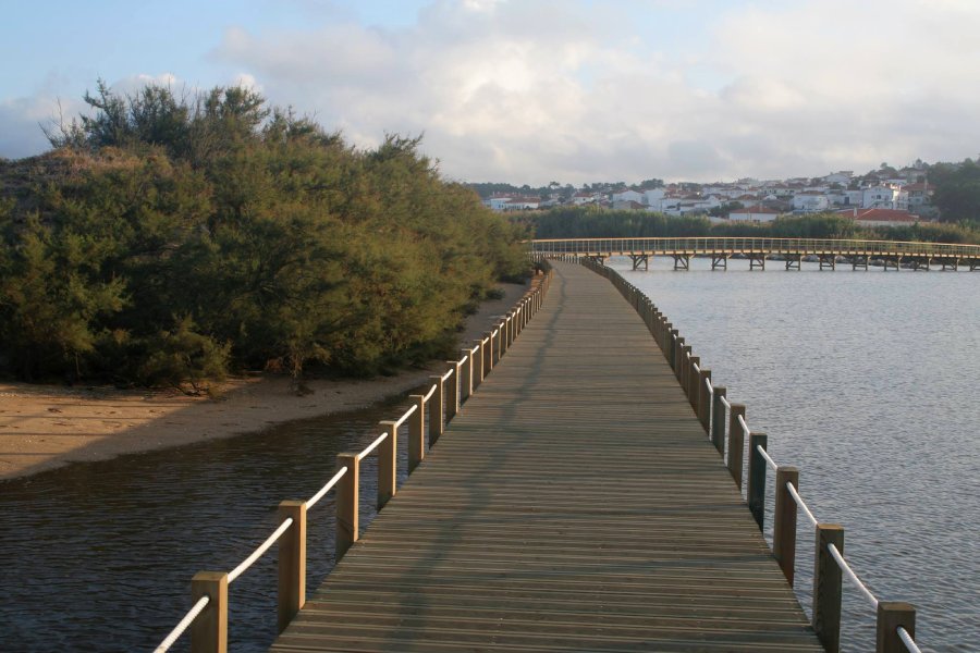 Imagem cortesia © ARPAS - arquitectos paisagistas associados.jpg