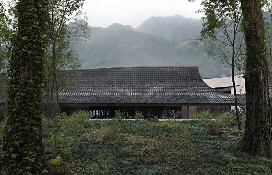 01Life could be just (1).jpg