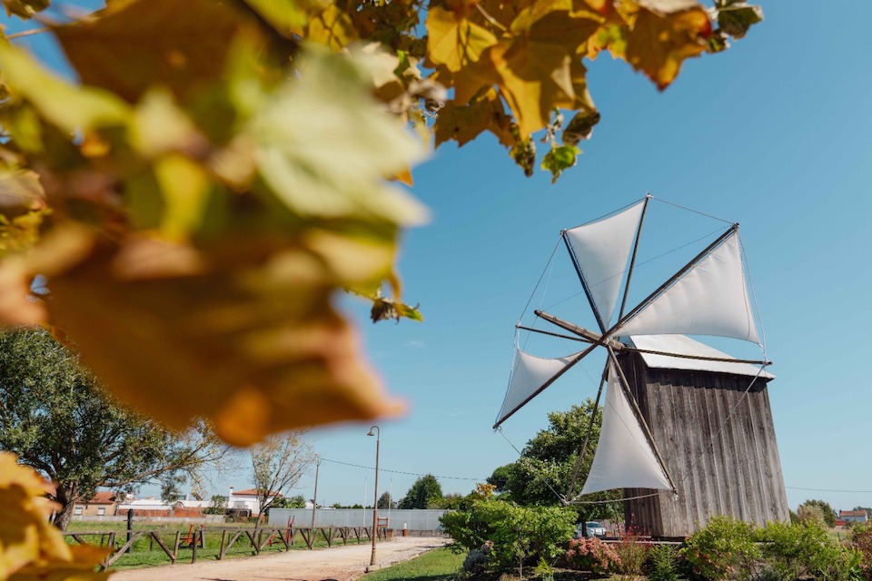 Festival dos Moinhos de Portugal regressa este mês