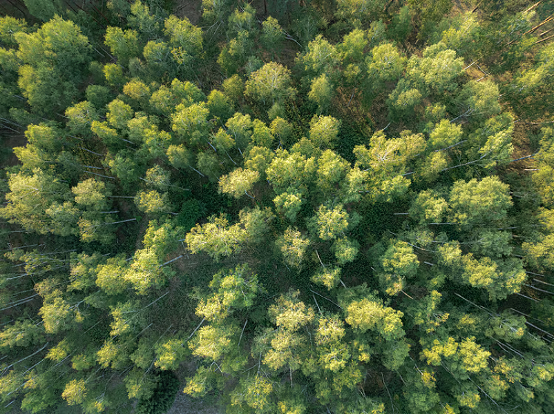 PH203898 - Foto IKEA.jpg