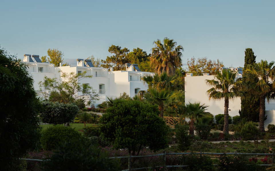 Masana Algarve