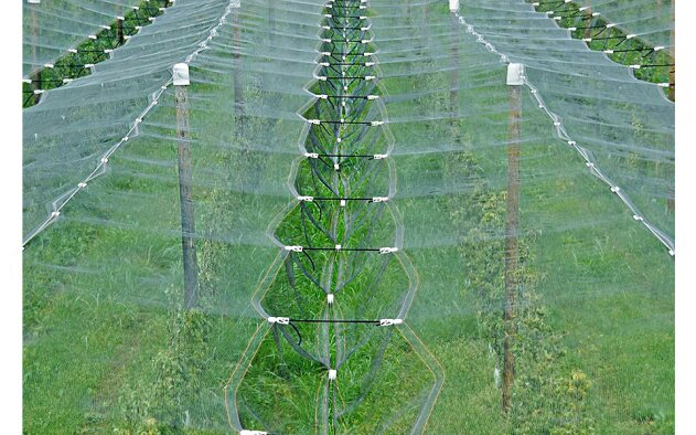 2,5ha de estruturas anti-granizo em Odemira e Alcobaça