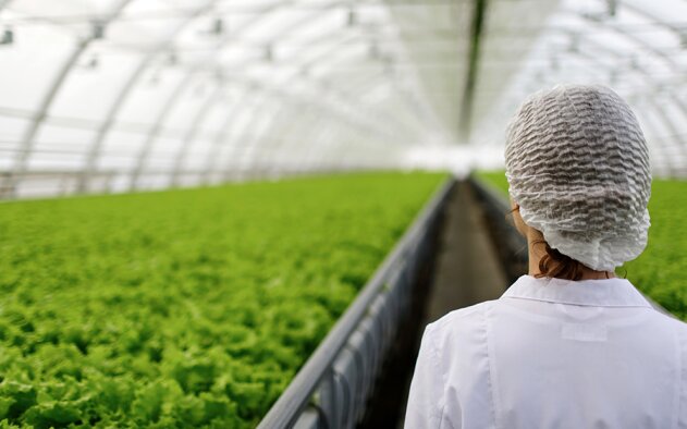 Investimento institucional no sector agrícola da Península Ibérica ultrapassou 4,1 MM€ nos últimos três anos
