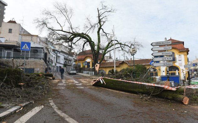 Tempestade Kristin expõe fragilidades na protecção dos condomínios, alerta APEGAC