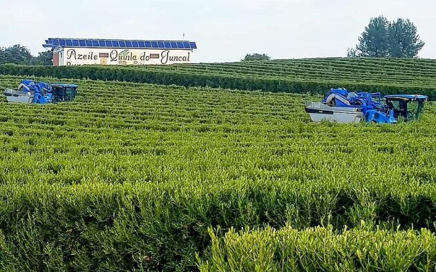 CBRE marca pontos no Ribatejo e no Agrobusiness...