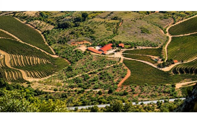 Registo de terrenos no BUPi deixa de ser gratuito a partir de outubro
