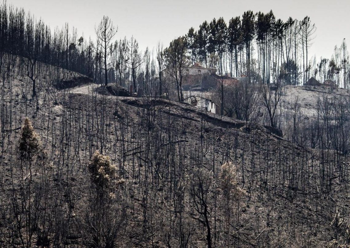Incêndios: Hotelaria e restauração alertam para impacto e pedem apoios a fundo perdido