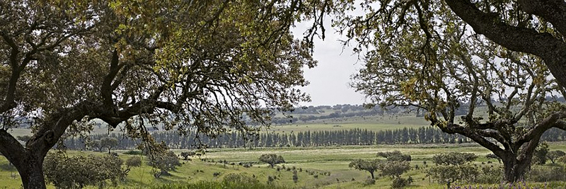 image_processing20250611-8-6jw2q1.jpg