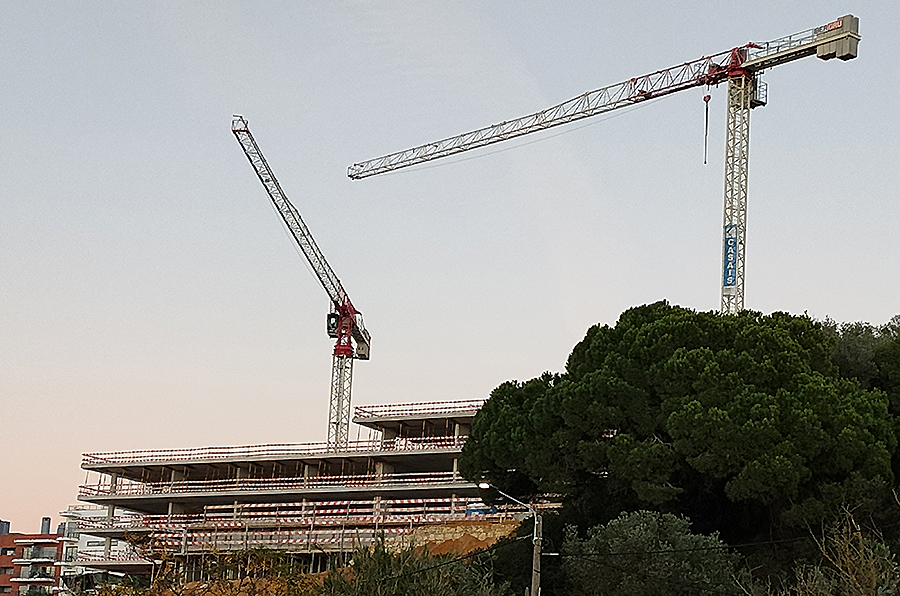 Foto DI.jpg