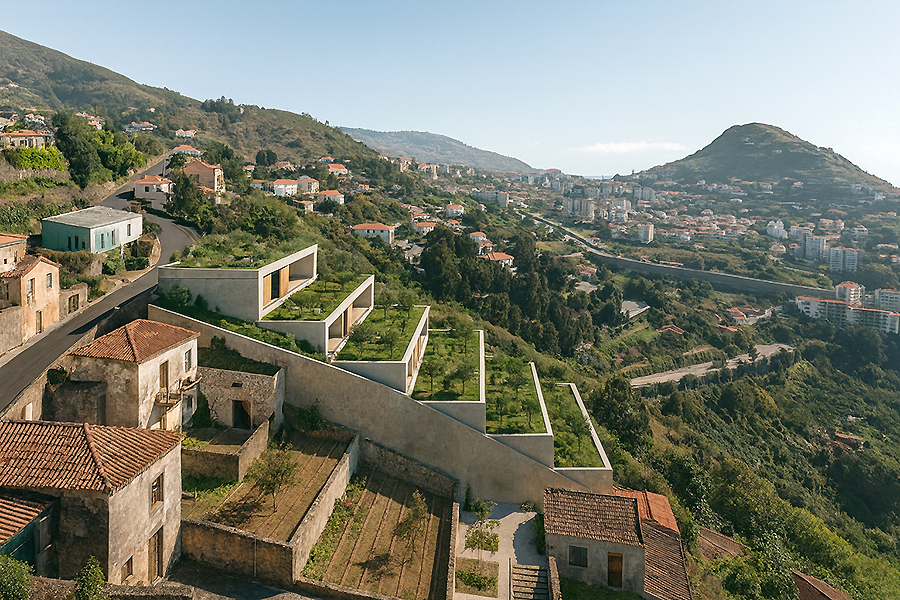 Funchal.jpg
