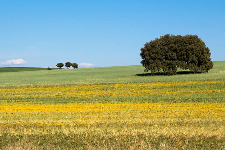 Foto de wiestock em Freepik.jpg