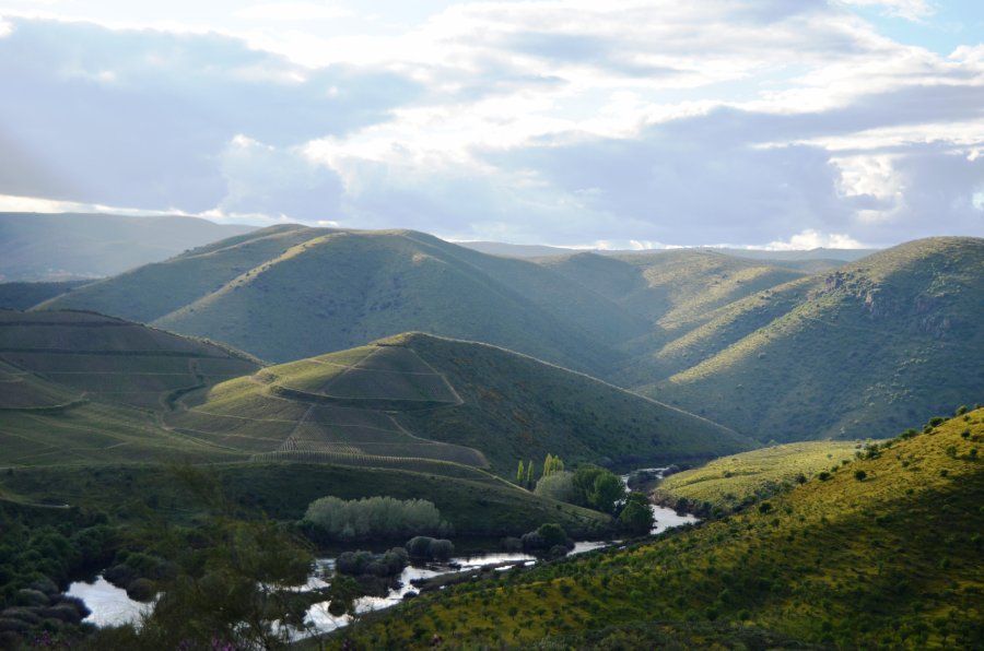 Vila_Nova_de_Foz_Côa_Por Pedro from Maia Wikipedia.jpg