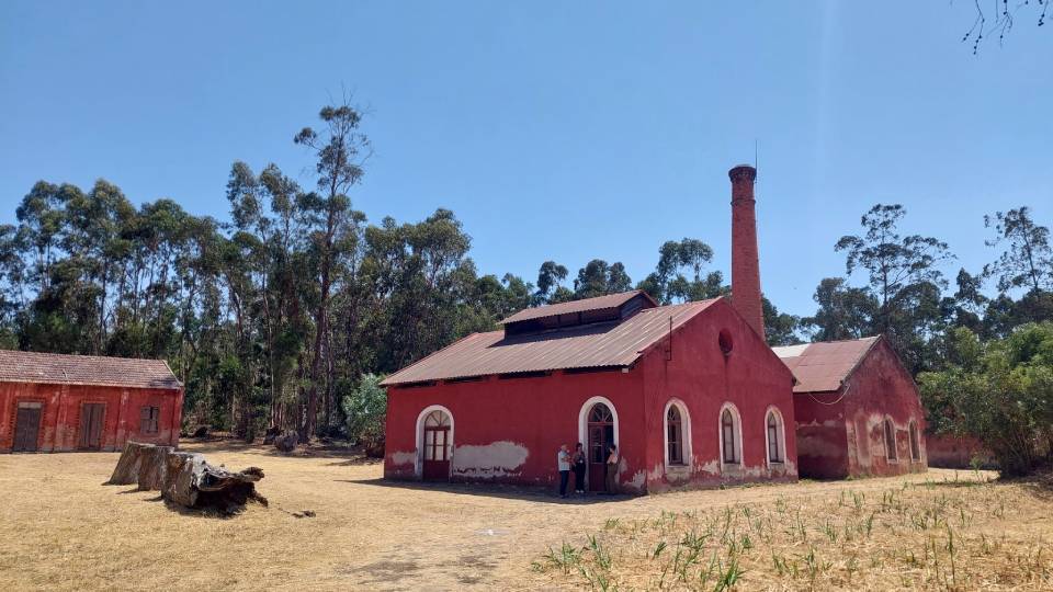 01 Foto ICOM Portugal.jpg