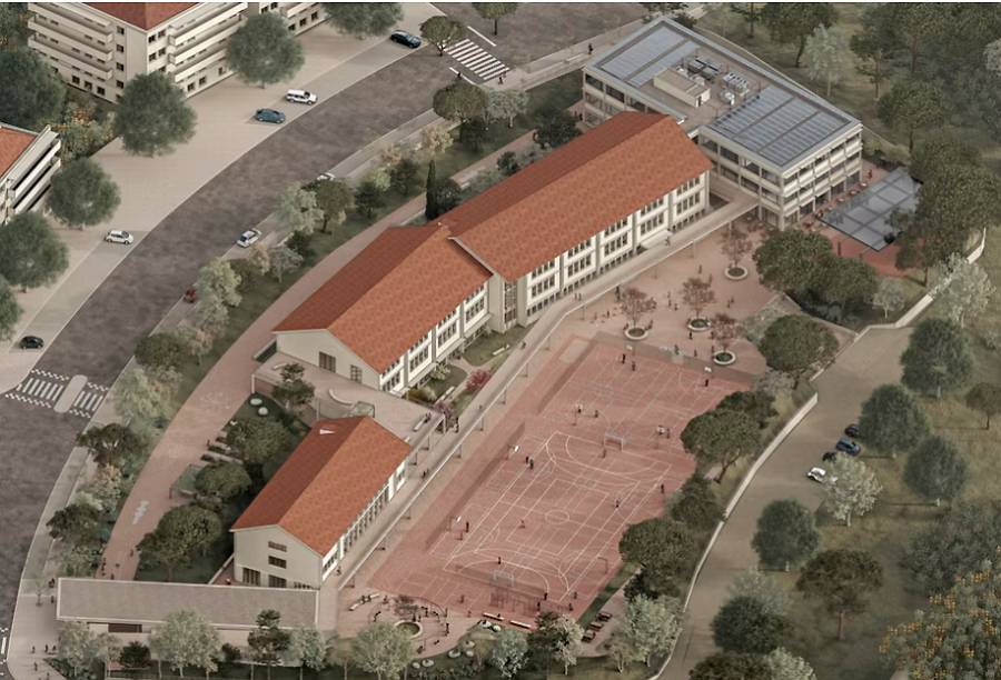 PAULA VICENTE Beelem.jpg