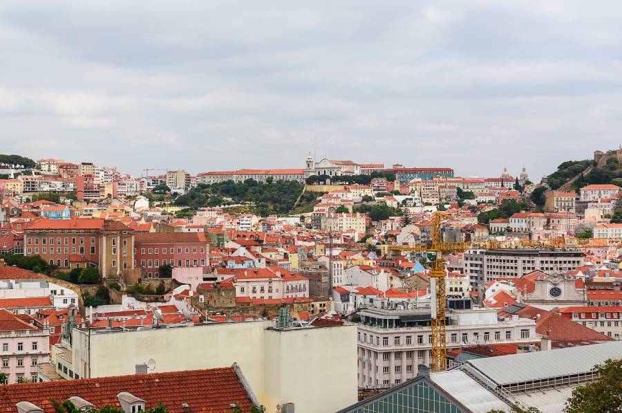 Foto de Vera Fedorova em vecteezy 01.jpg