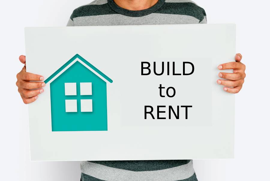 Rawpixel em magnific _ DI.jpg