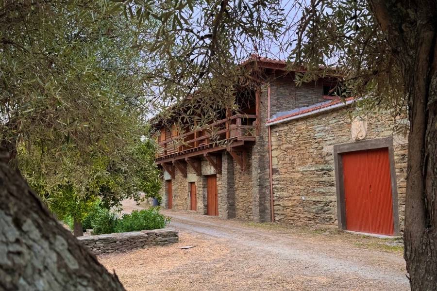 Quinta das Fiandeiras lança azeite ‘premium’ e prepara projecto de olivoturismo no Douro