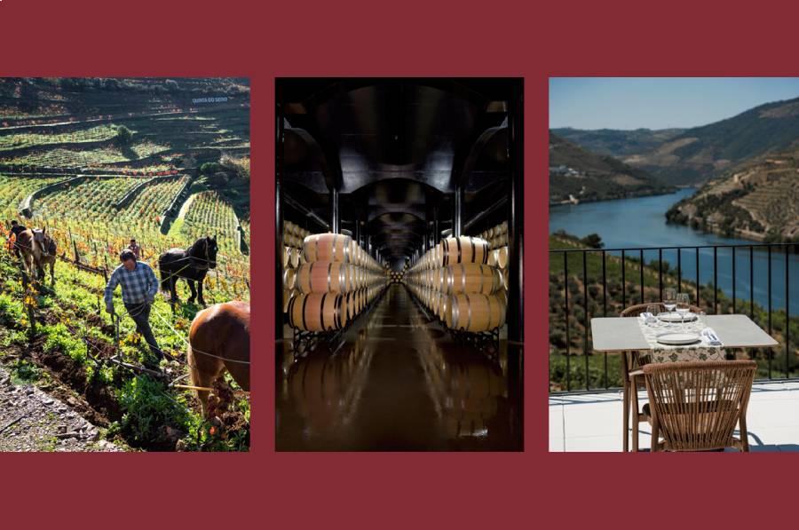 Candidaturas abertas até 29 de Maio para os Prémios Best of Wine Tourism 2027