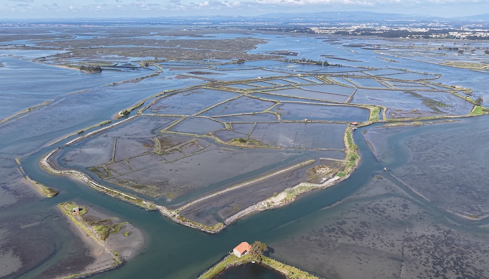 Ilha dos Puxadoiros, Aveiro