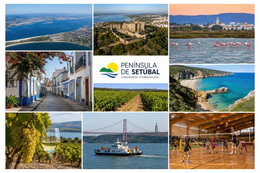 CIM SETUBAL.jpg