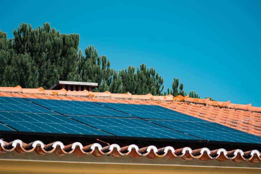 Imagem_Depois do verão, Bling Energy revela como está a mudar a procura por energia solar.jpg