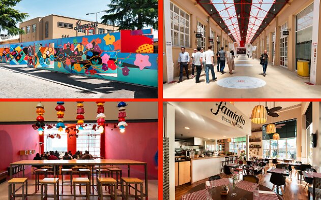 Lionesa Business Hub prepara mais de 60 milhões em novas expansões