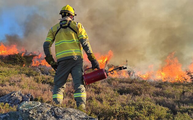Portugal perdeu 13% do território em incêndios numa década