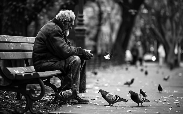 Sem-abrigo são 14.476