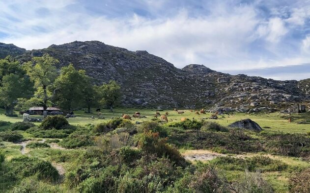 Lidl angaria 180 mil euros para recuperar 30 hectares no Parque Nacional da Peneda-Gerês