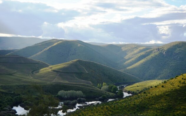 Estabelecida Zona Especial de Conservação do Douro Internacional