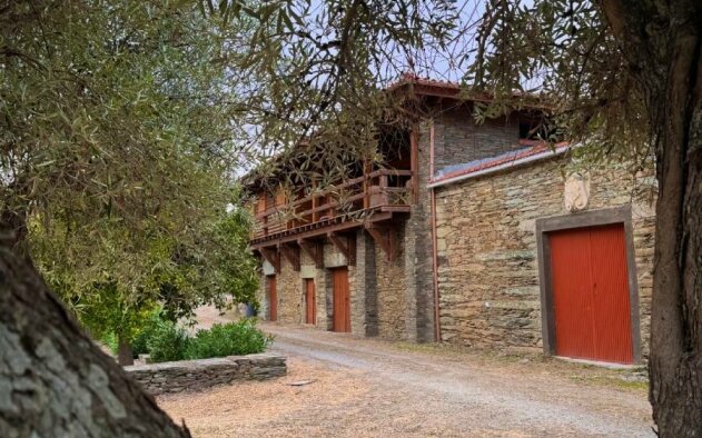 Quinta das Fiandeiras lança azeite ‘premium’ e prepara projecto de olivoturismo no Douro