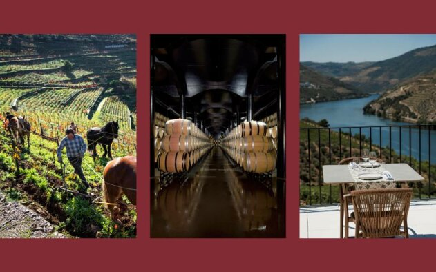 Candidaturas abertas até 29 de Maio para os Prémios Best of Wine Tourism 2027