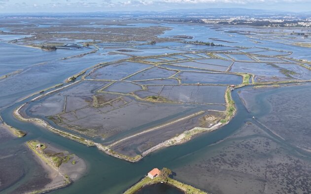 Ilha dos Puxadoiros, Aveiro