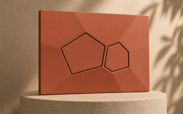 placa de comando Voronoi - OLI